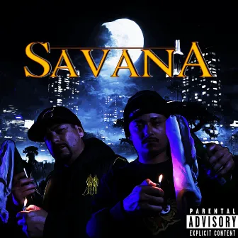 Savana by José Sheep