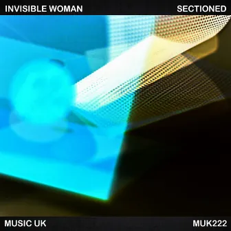 Sectioned by Invisible Woman