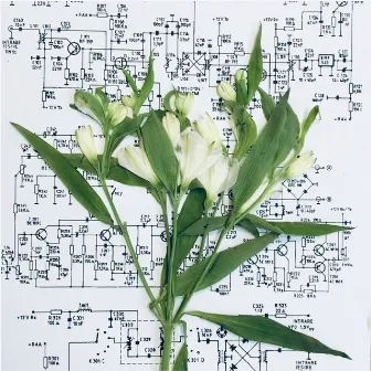 Herbarium Electrica I by Gregor Sündermann