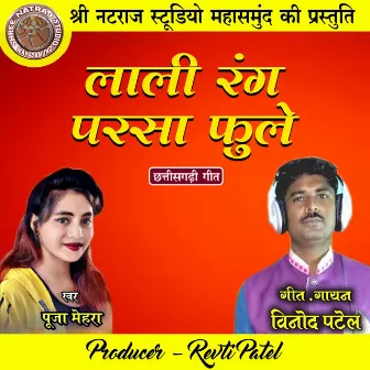 Lali Rang Parsa Fule (Chhattisgarhi Geet) by Vinod Patel