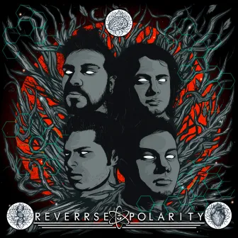 Reverrse Polarity by REV