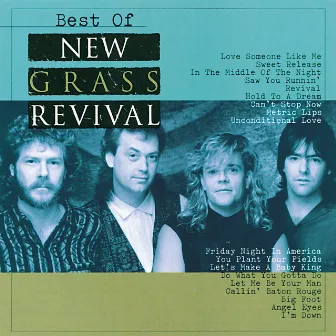 Best Of New Grass Revival by New Grass Revival