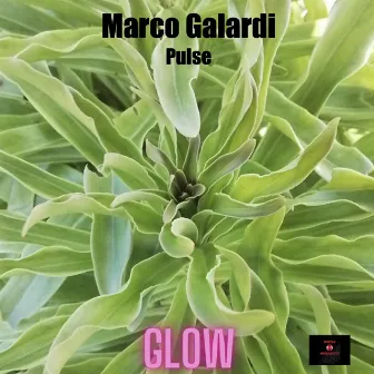 Glow by Marco Galardi Pulse