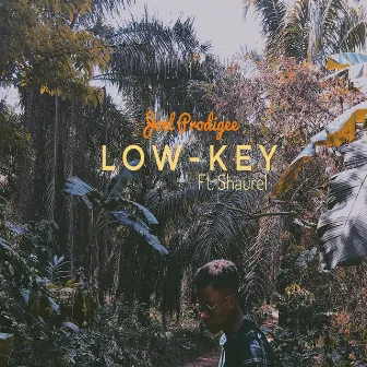 Low-Key by Joel Prodigee