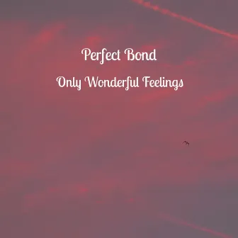 Only Wonderful Feelings by Perfect Bond