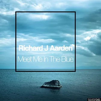 Meet Me In The Blue by Richard J Aarden