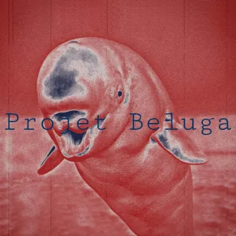 Projet Beluga by Syme