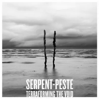 TERRAFORMING THE VOID by SERPENT-PESTE