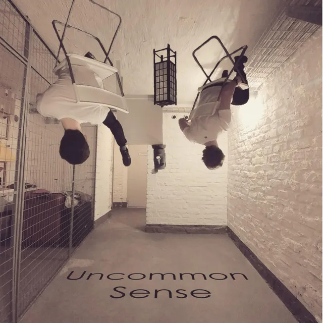 Uncommon Sense