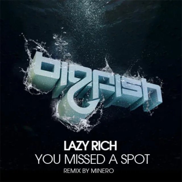 You Missed A Spot - Minero Remix