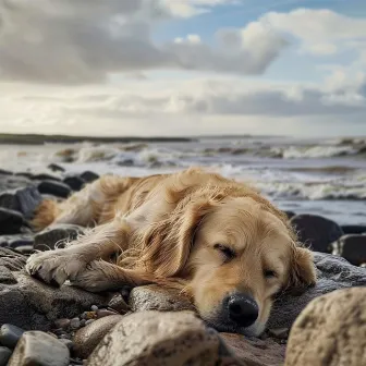 Música Relajante Del Océano Para La Relajación De Los Perros by Banco del Océano