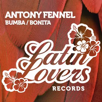 Bumba / Bonita - Single by Antony Fennel