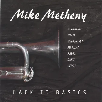 Back to Basics by Mike Metheny