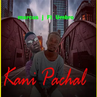 Kani Pachal by Umbro