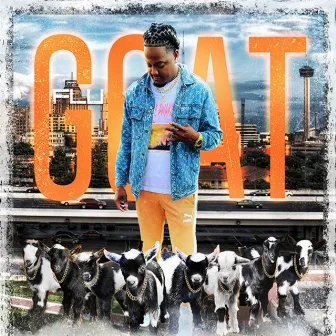 Goat by Flu