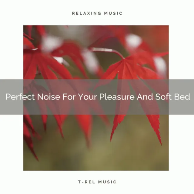 Perfect Noise For Your Pleasure And Soft Bed