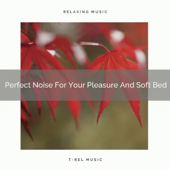 Perfect Noise For Your Pleasure And Soft Bed by Brown Noise Sleep Collection