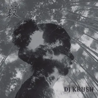 Jaku by DJ KRUSH