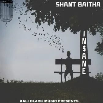 SHANT BAITHA by IN$ANE