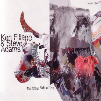 The Other Side of This by Ken Filiano