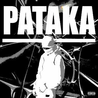 Pataka by William Cash