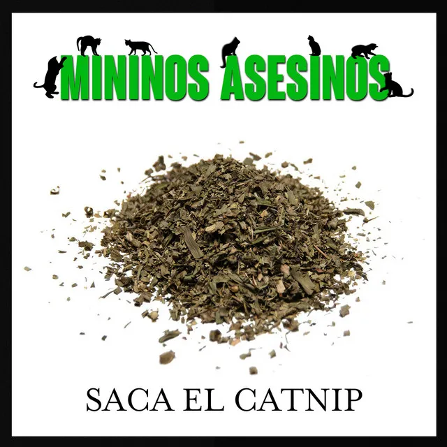 Saca El Catnip