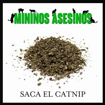 Saca El Catnip by Mininos Asesinos