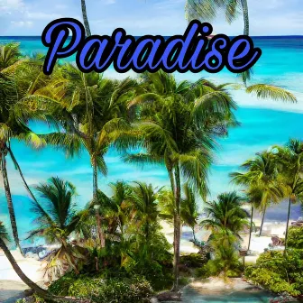 Paradise by NMT Vision