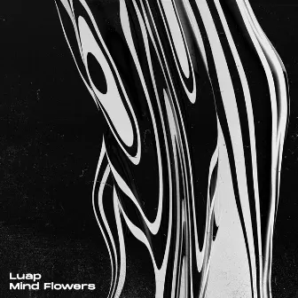 Mind Flowers EP by Paul Hauck