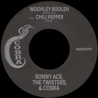 Wooleh Booleh b/w Chili Pepper by The Twisters