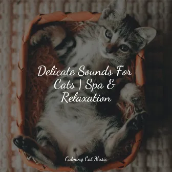 Delicate Sounds For Cats | Spa & Relaxation by Music for Cats Deluxe