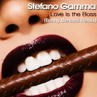 Love is the Boss (Benny Benassi Remix) by Stefano Gamma