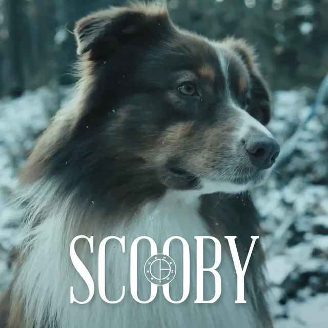 Scooby