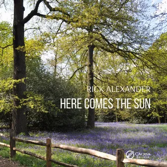 Here Comes the Sun by Rick Alexander