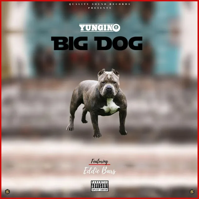 Big Dog