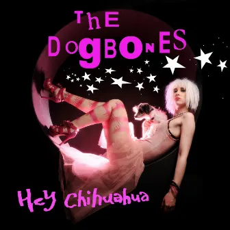 Hey Chihuahua by The Dogbones