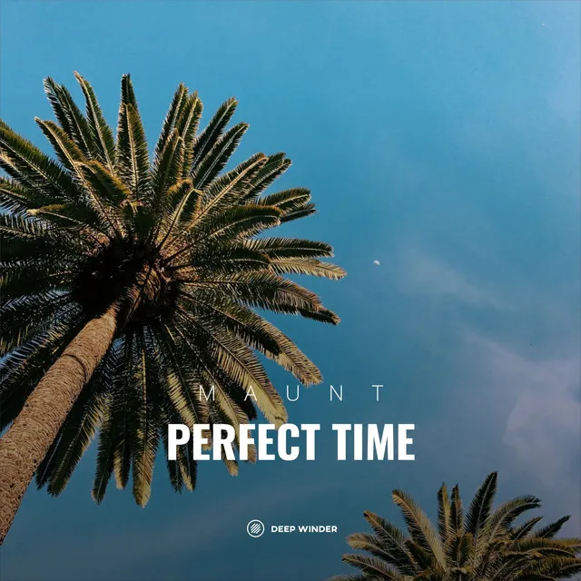 Perfect Time - Extended Mix