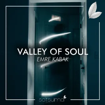 Valley of Soul by Emre Kabak