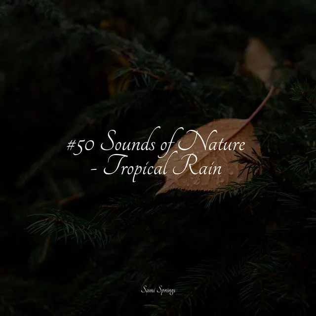 #50 Sounds of Nature - Tropical Rain