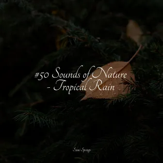 #50 Sounds of Nature - Tropical Rain by Thunder and Rain Storm