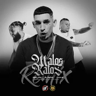 Malos Ratos by Fenix Trip