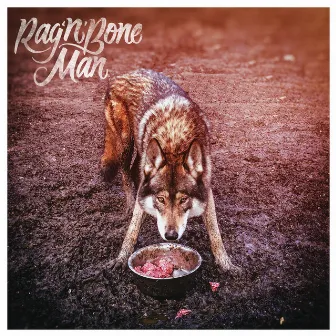 Wolves by Rag'n'Bone Man