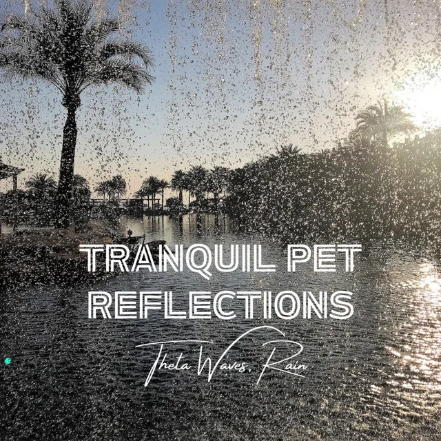 Tranquil Pet Reflections: Theta Waves, Rain