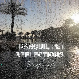 Tranquil Pet Reflections: Theta Waves, Rain by Enjoyable Rain Sleep Sound