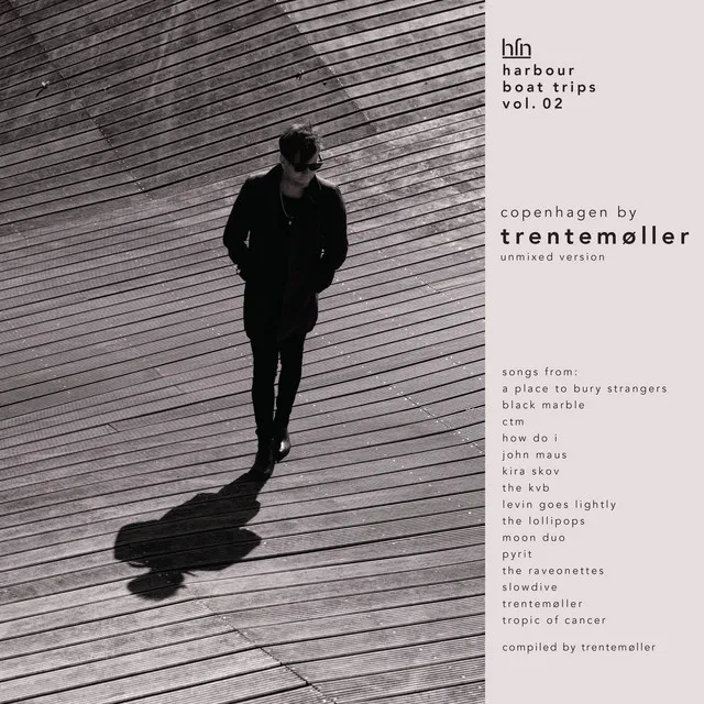 I Celebrate My Life - Trentemøller Remix