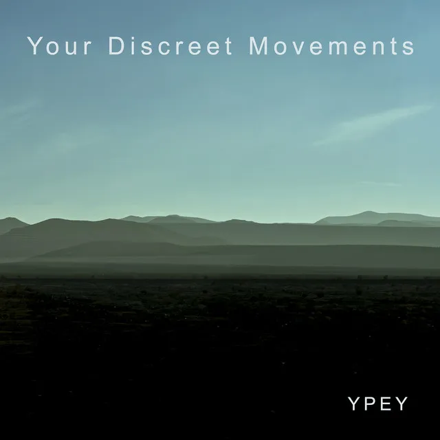 Your Discreet Movements