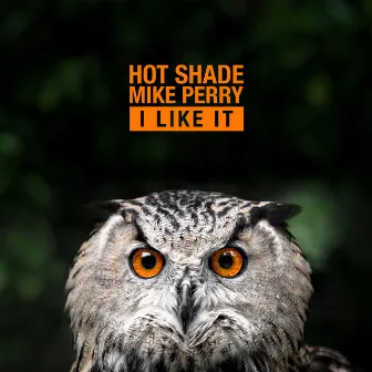 I Like It by Hot Shade