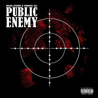 Public Enemy by Miles Stone