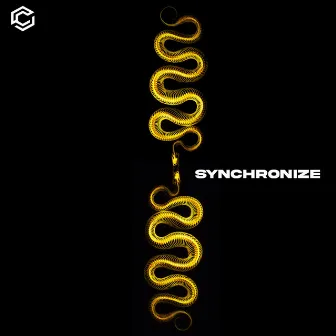 Synchronize by Kojir