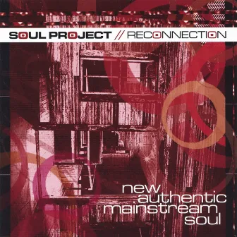 Reconnection by Soul Project